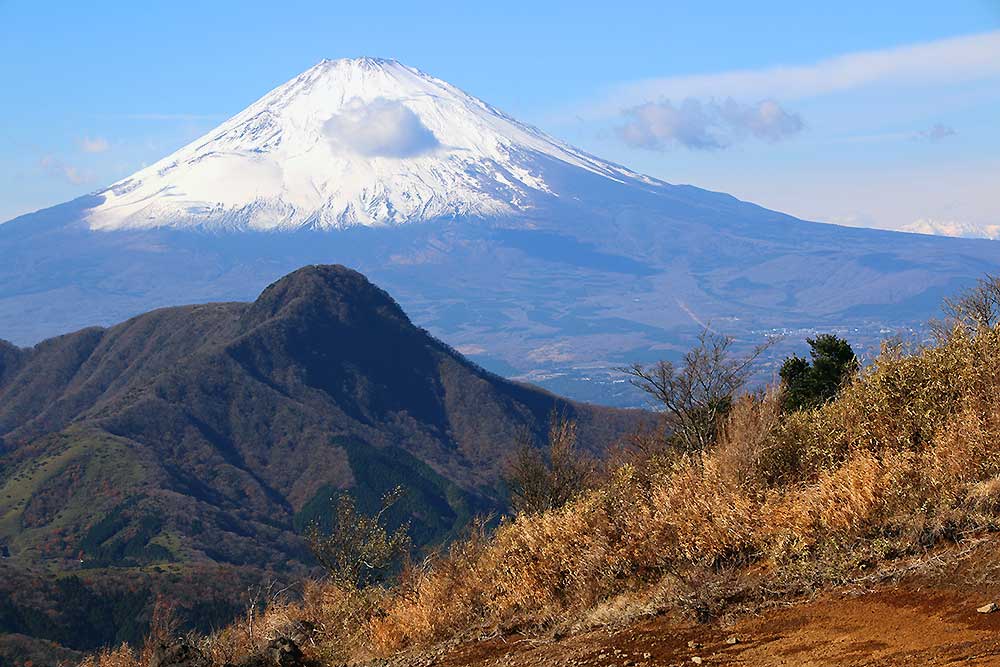 富士山と金時山